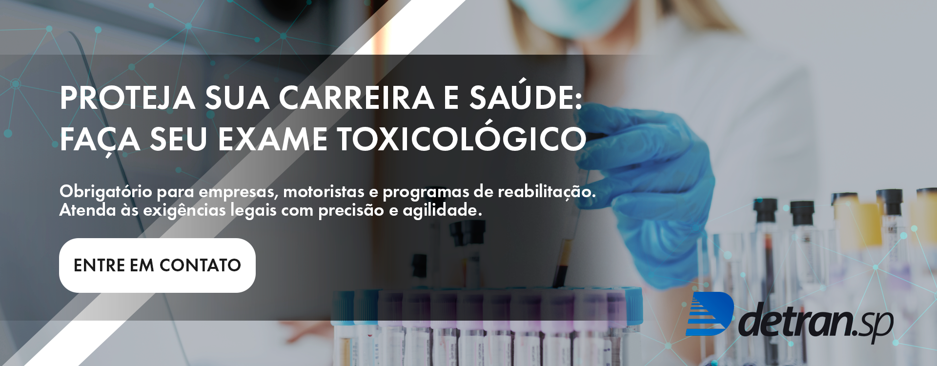 Segundo Slide